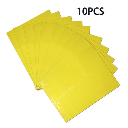 Piège collant jaune, élimine mouches et insectes par 10