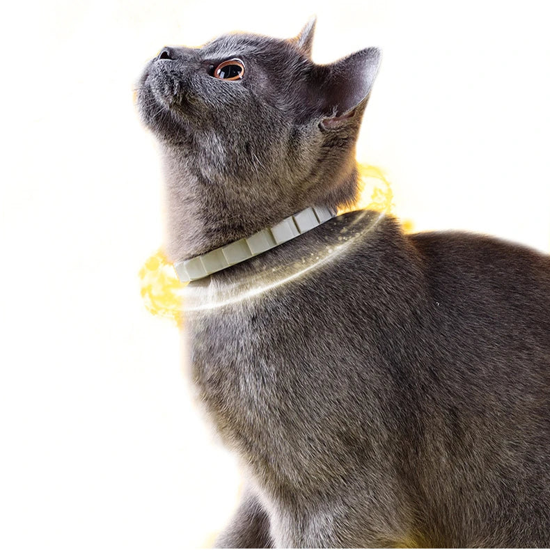 Collier Anti-Moustiques en Caoutchouc pour Chats