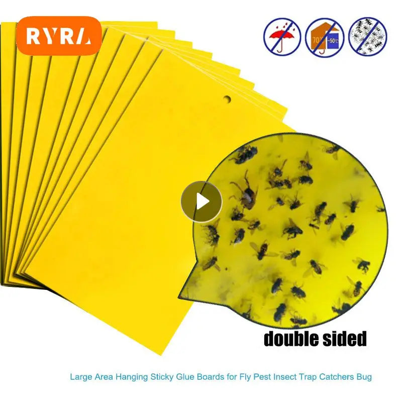 Piège collant jaune, élimine mouches et insectes