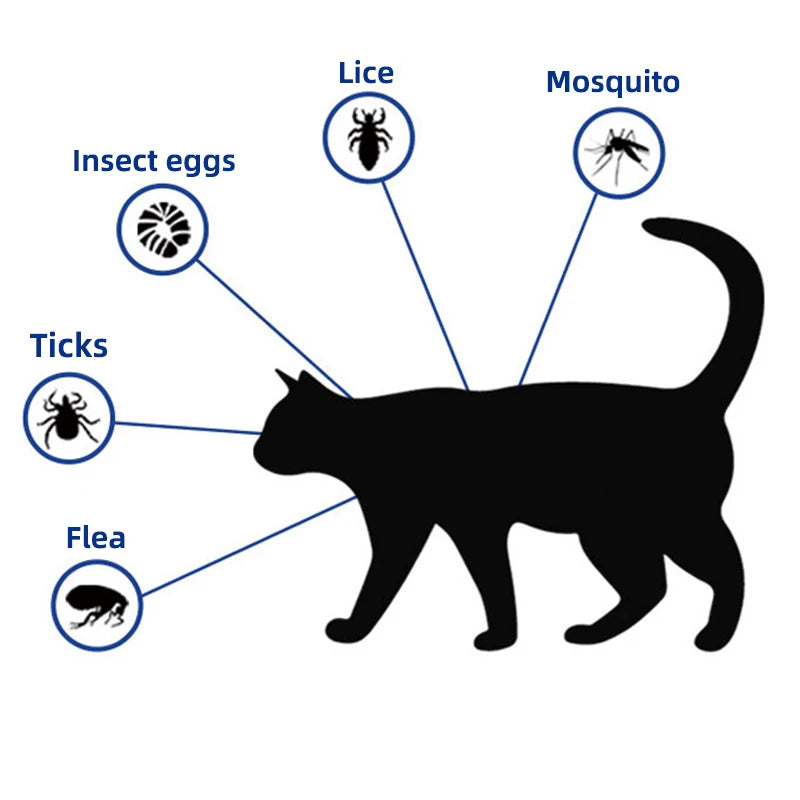 Collier Anti-Moustiques en Caoutchouc protection des Chats