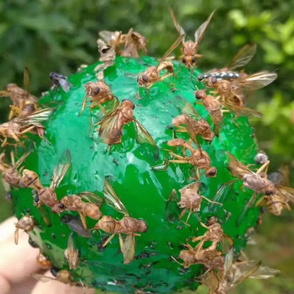 Piège à Mouches Adhésif Imperméable Attrape Tout